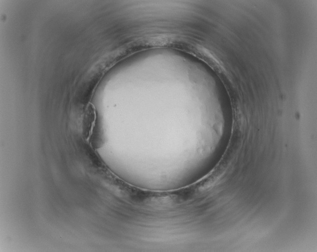 X0000071330307200607141912