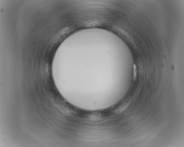 X0000071330308200607141912