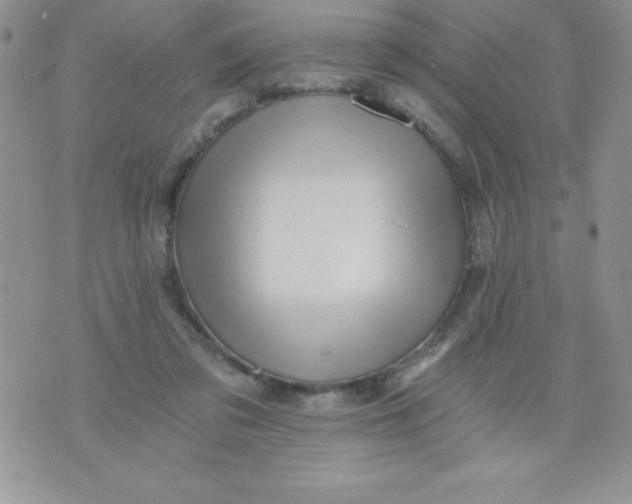 X0000071330309200607141912