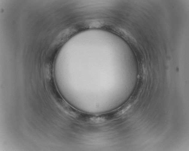 X0000071330311200607141912