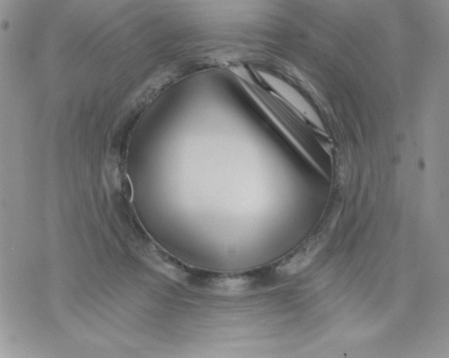 X0000071330313200607141912