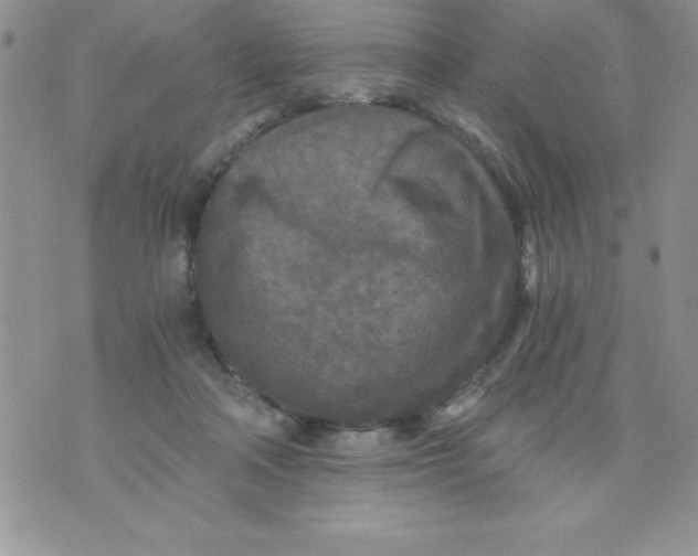 X0000071330314200607141912