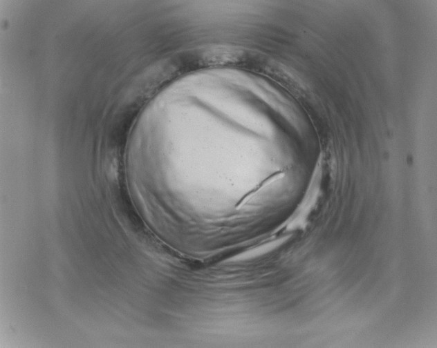 X0000071330315200607141912