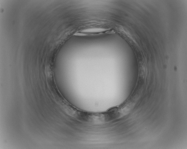 X0000071330317200607141912