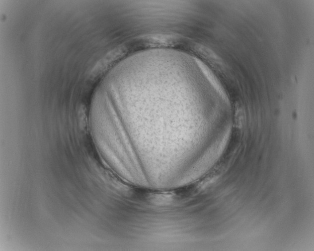 X0000071330318200607141912