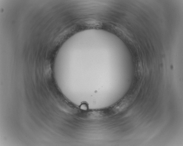 X0000071330320200607141912