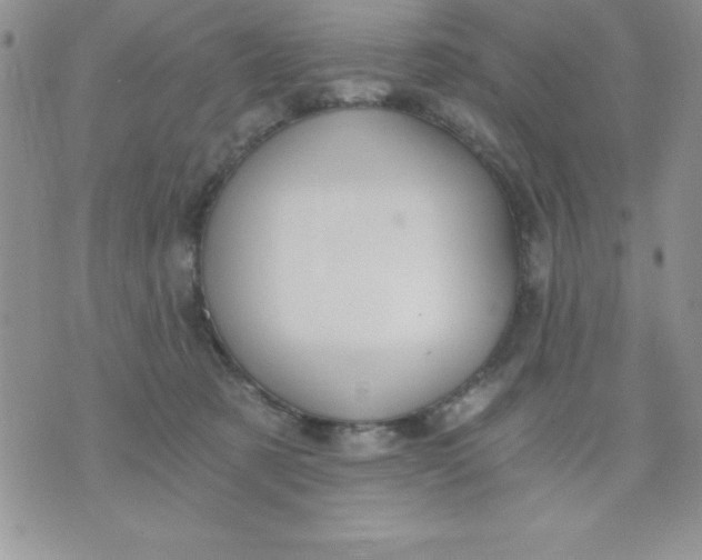 X0000071330321200607141912