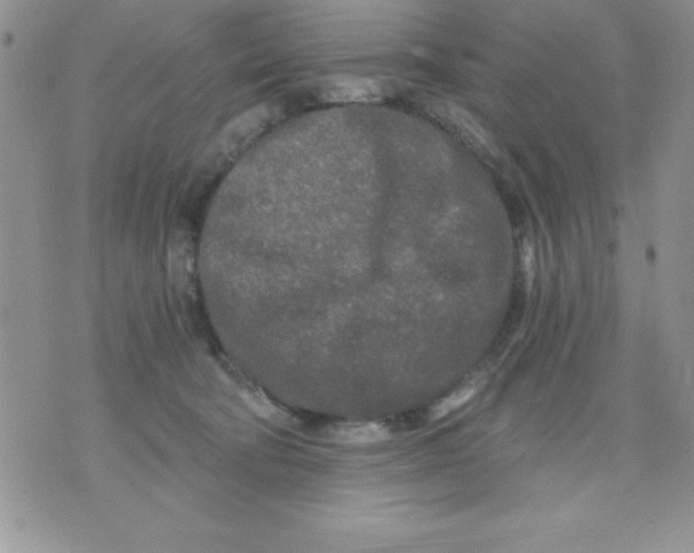 X0000071330322200607141912