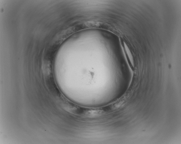 X0000071330323200607141912