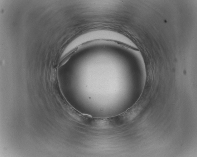 X0000071330325200607141912