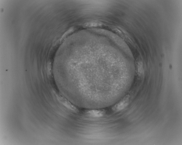 X0000071330326200607141912