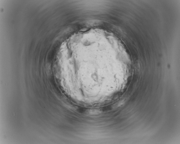 X0000071330327200607141912