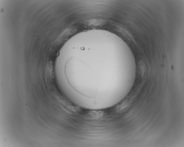 X0000071330328200607141912