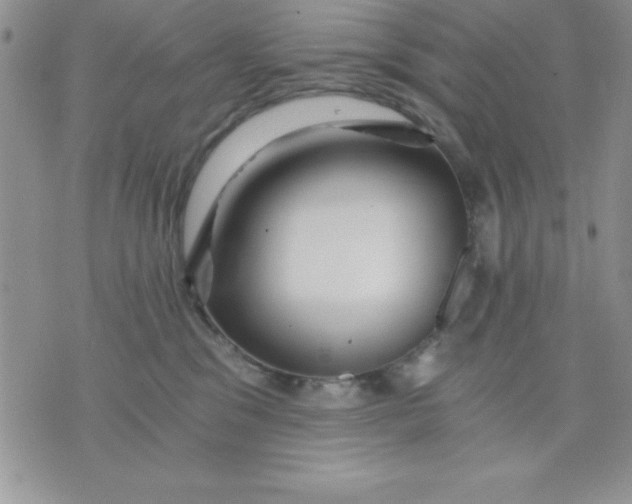 X0000071330329200607141912