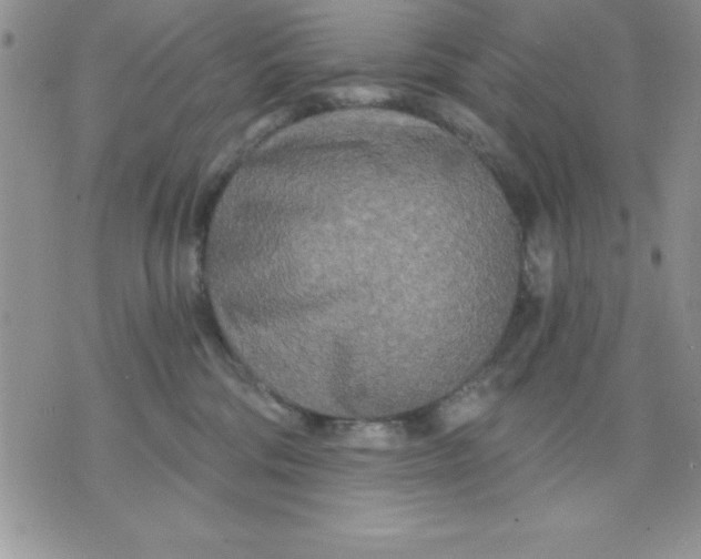 X0000071330330200607141912