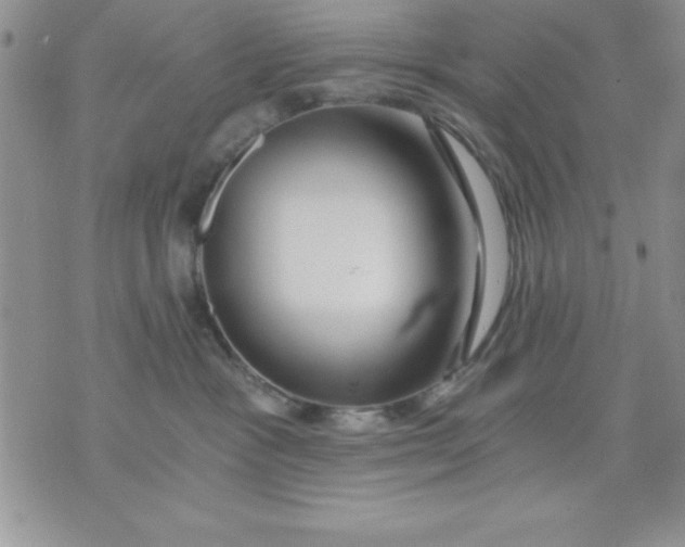 X0000071330333200607141912