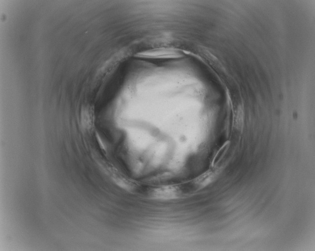 X0000071330335200607141912