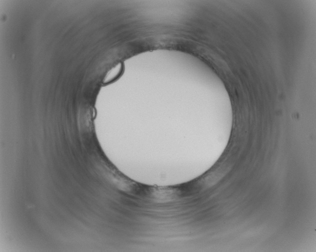 X0000071330336200607141912