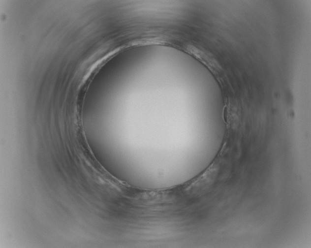 X0000071330338200607141911