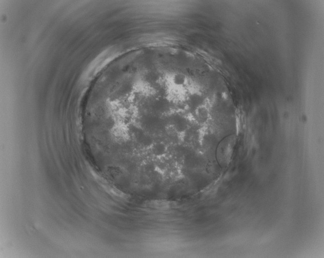 X0000071330339200607141911