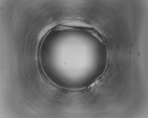 X0000071330340200607141911