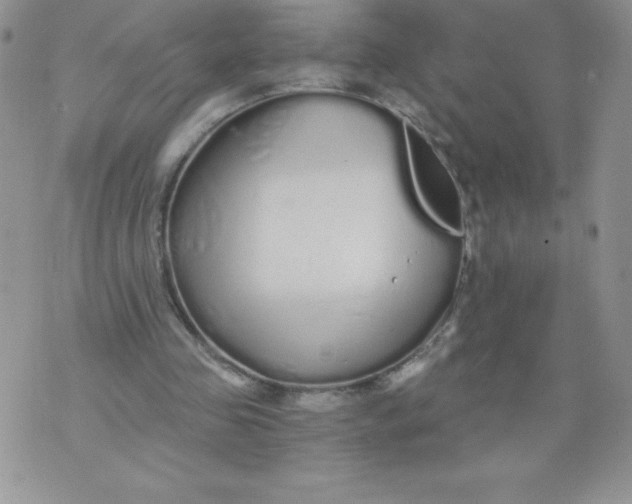 X0000071330341200607141911