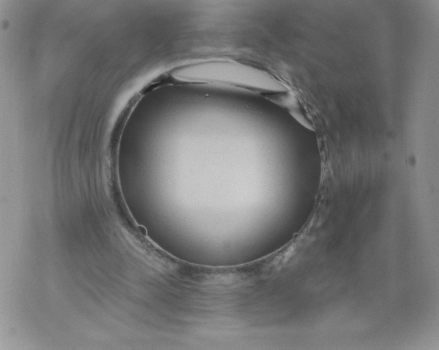 X0000071330342200607141911