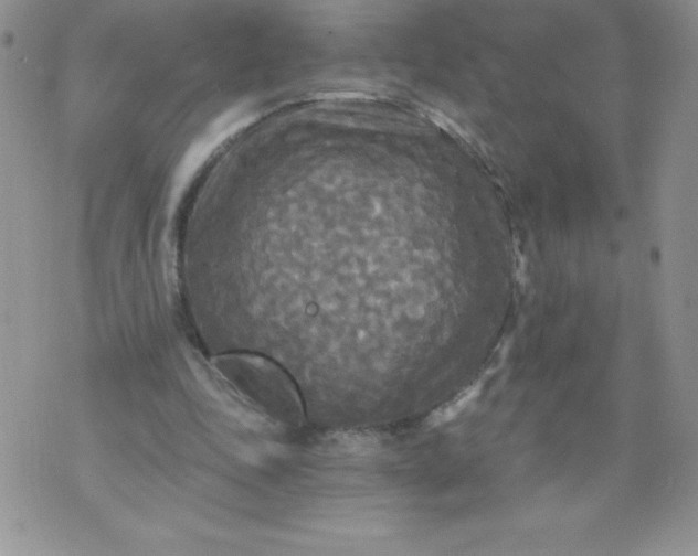 X0000071330343200607141911