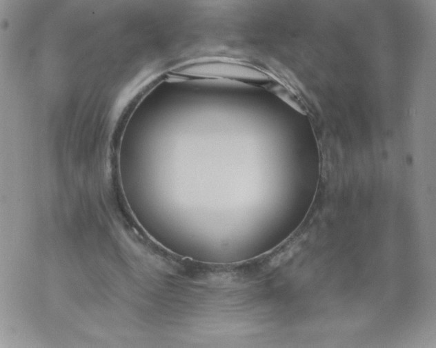 X0000071330344200607141911