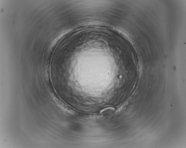 X0000071330345200607141911