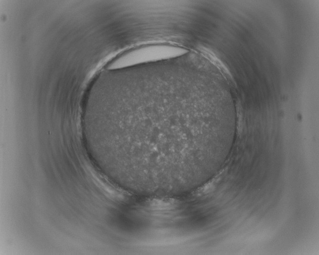 X0000071330346200607141911