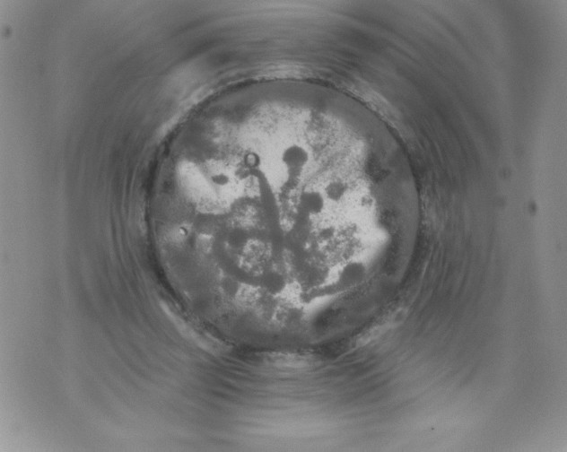 X0000071330347200607141911