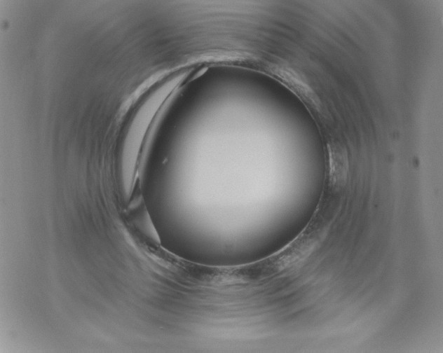 X0000071330348200607141911