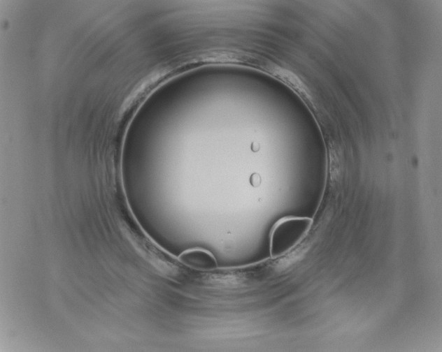 X0000071330349200607141911