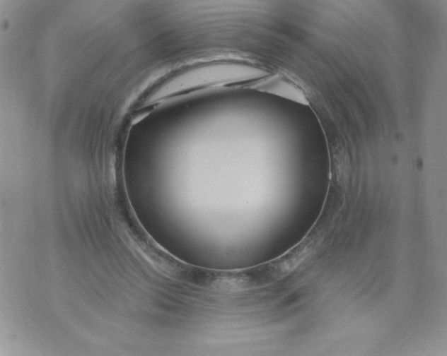 X0000071330350200607141911