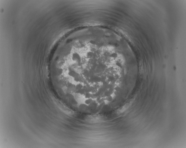 X0000071330351200607141911