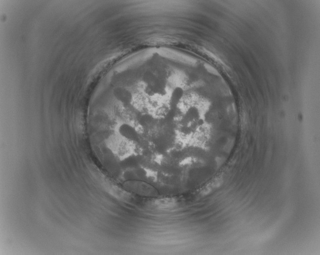 X0000071330353200607141911