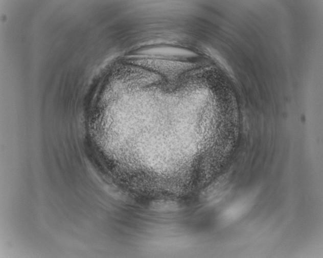 X0000071330354200607141911