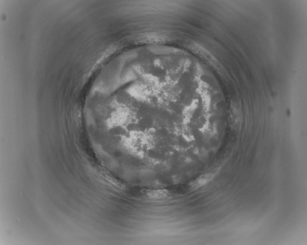 X0000071330355200607141911