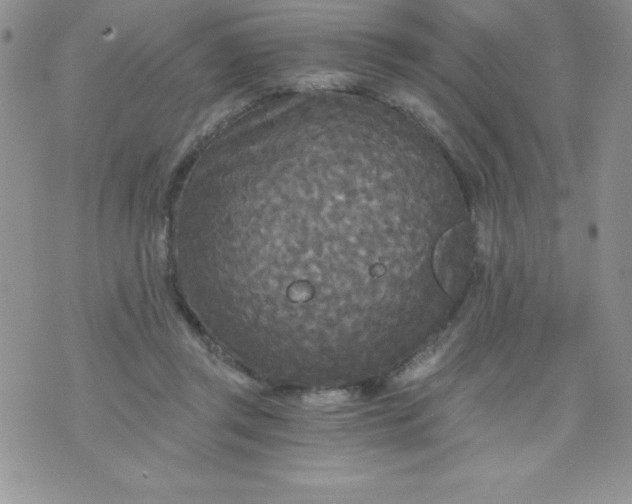 X0000071330357200607141911