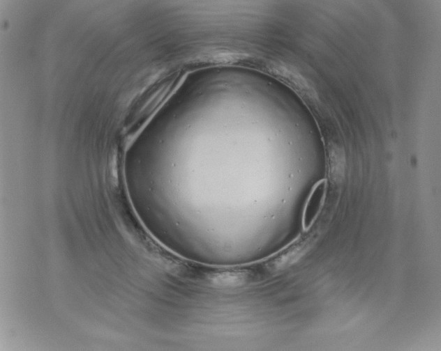 X0000071330358200607141911