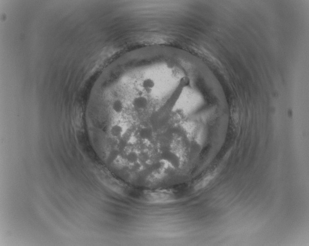 X0000071330359200607141911