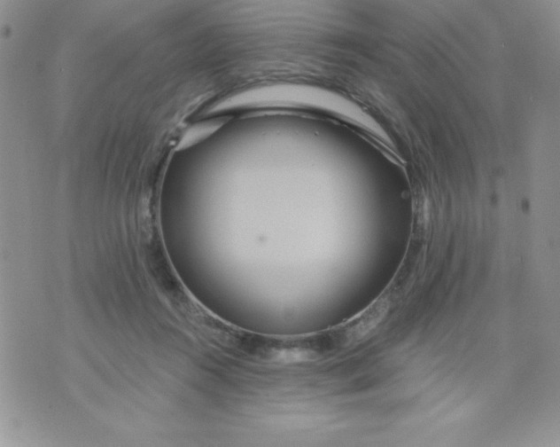 X0000071330360200607141911