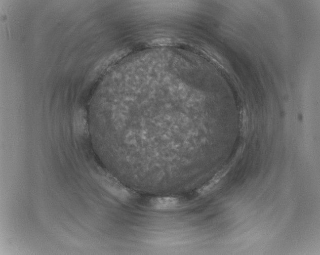 X0000071330361200607141911