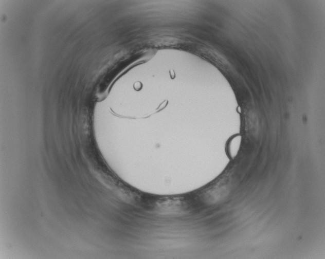 X0000071330362200607141911