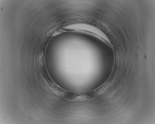 X0000071330364200607141911