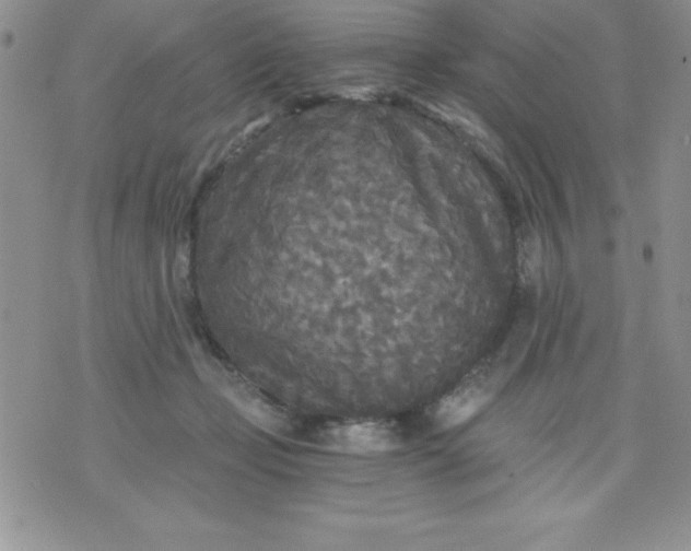 X0000071330365200607141911