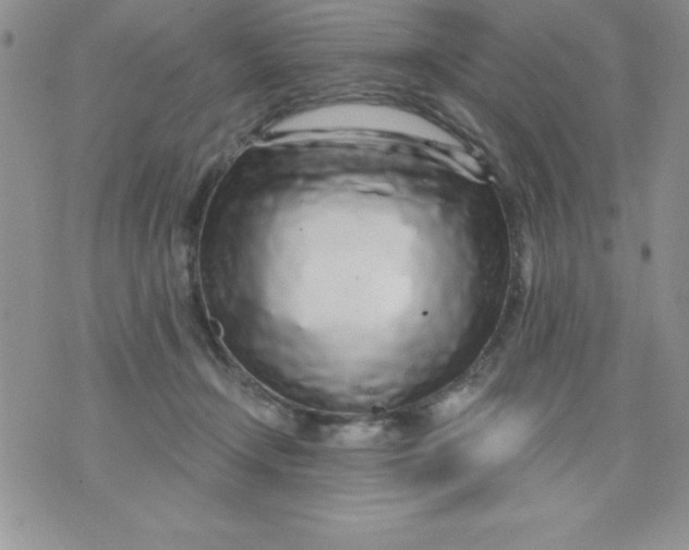 X0000071330366200607141911