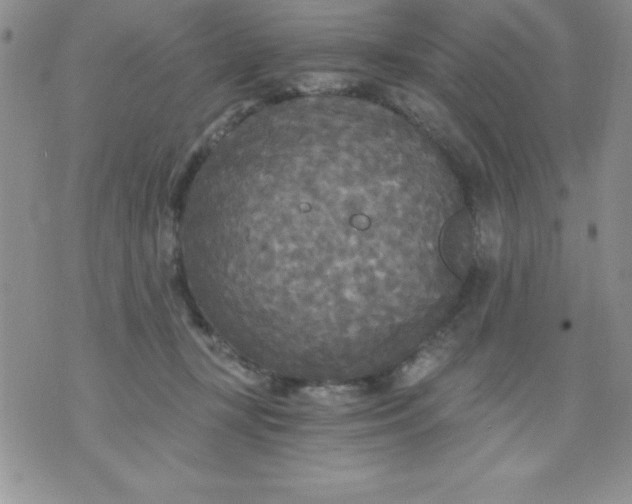 X0000071330367200607141911