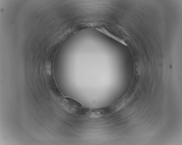 X0000071330368200607141911